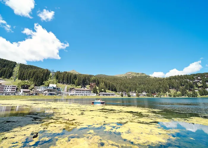 Padrun 8 -weisshornbahn-arosa Zentrum-top Lage 公寓 *